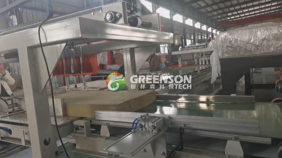 Endüstriyel Tahta Kaya Yün Kurulu Yapım Makinesi 1.2 Metre Duvar Tahtası Üretimi